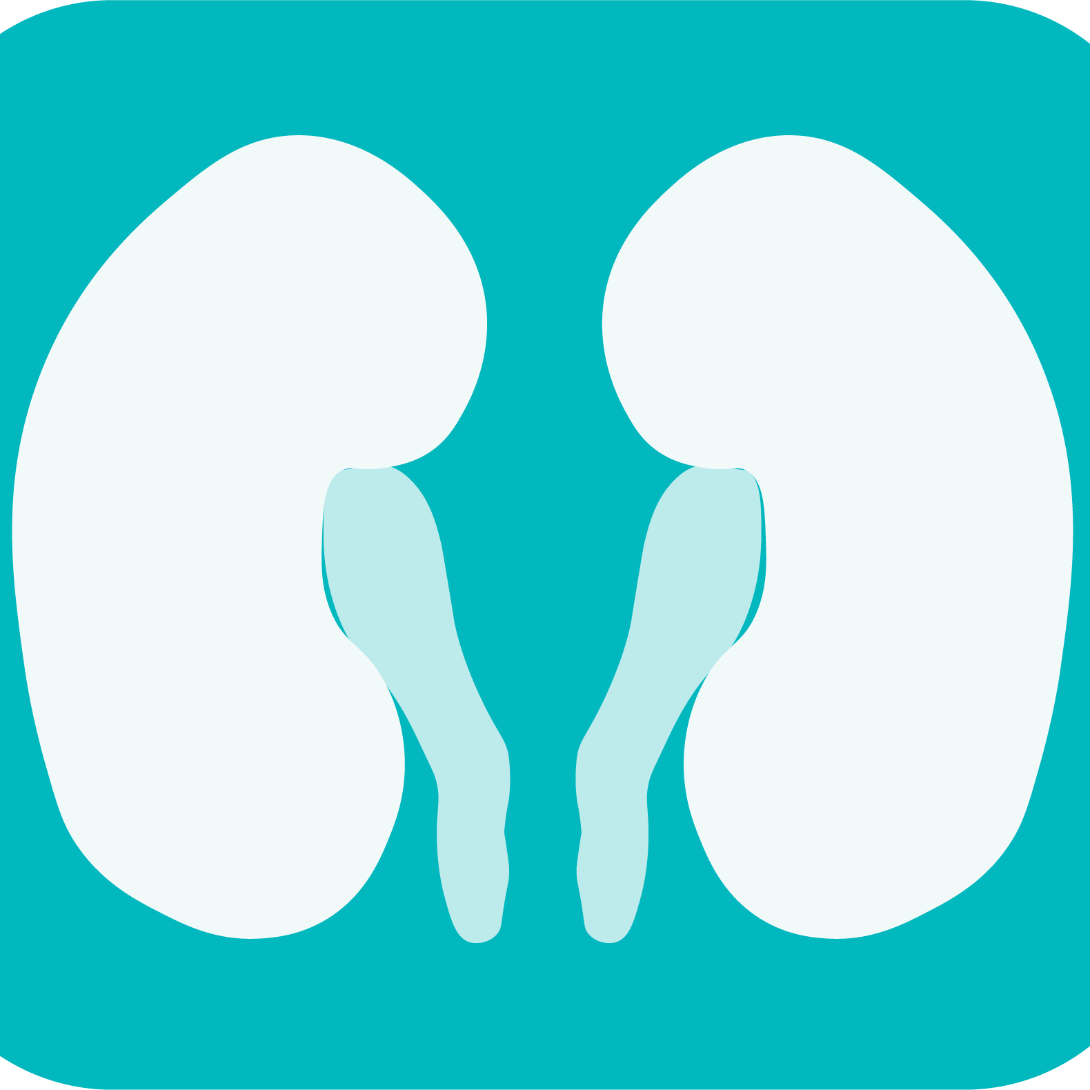 Cabinetnephrobois.fr